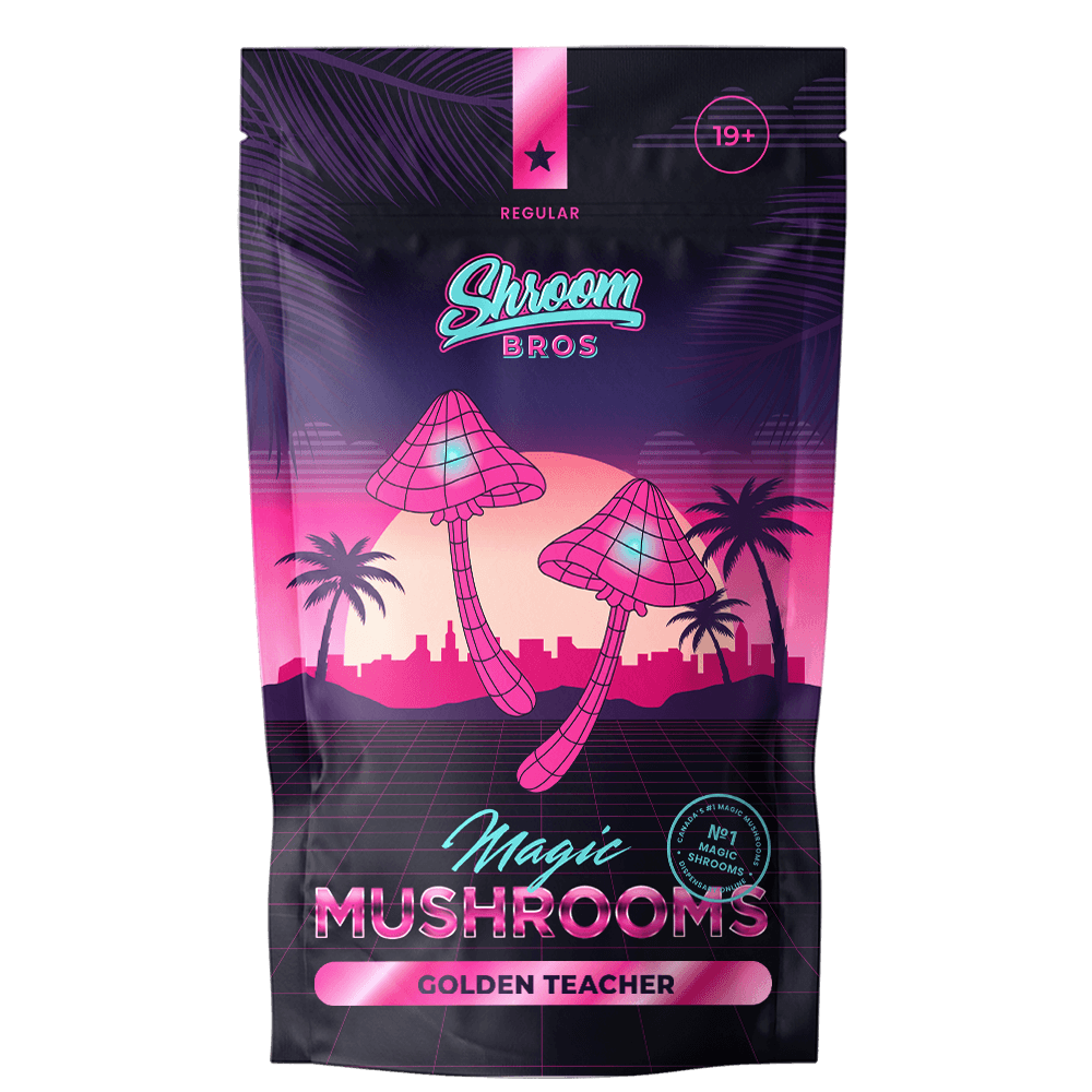 GOLDEN-TEACHERS-MAGIC-MUSHROOMS- Buy Golden Teacher Shrooms - Image 1